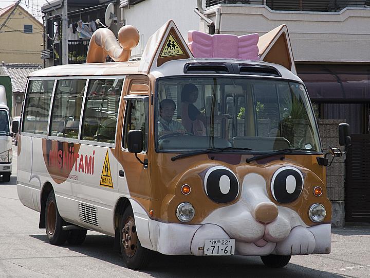 The Cat School Bus