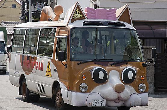 The Cat School Bus